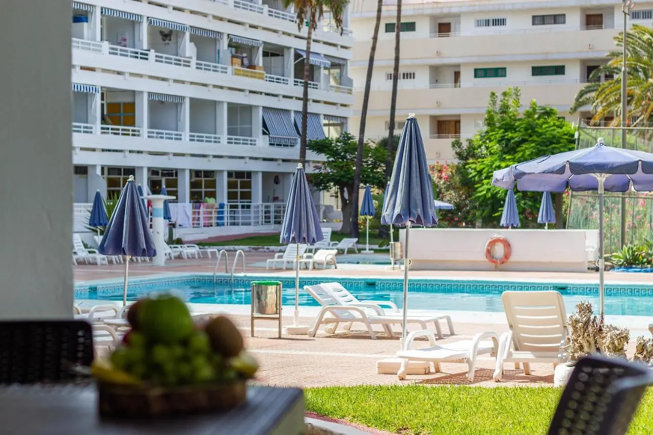 Mojo Friendly Holiday Home Playa del Ingles   Playa del Ingles (Gran Canaria)